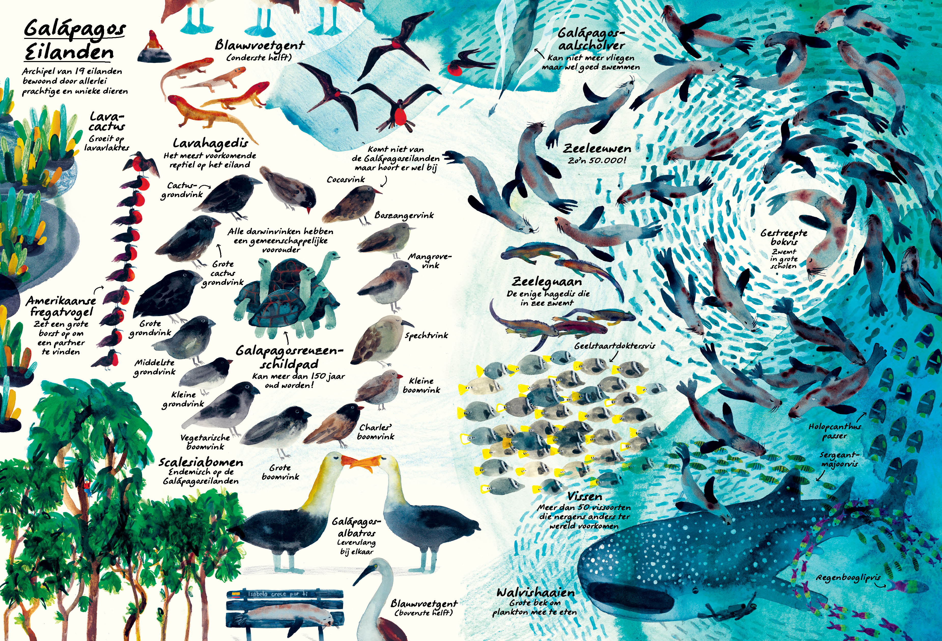 Alles en overal: Een wereldreis vol weetjes voor nieuwsgierige ontdekkers