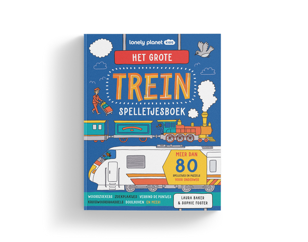 Het grote trein-spelletjesboek