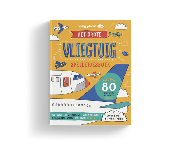 Het grote vliegtuig-spelletjesboek