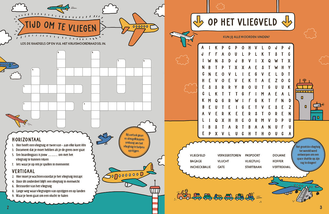 Het grote vliegtuig-spelletjesboek
