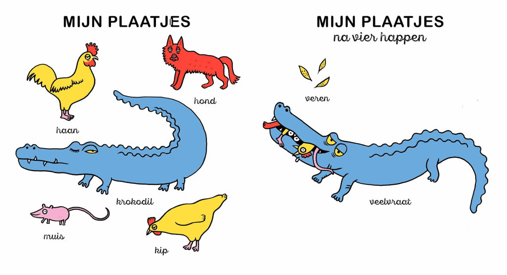 Mijn plaatjes na de storm